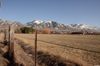 420 S Highway 165 photo